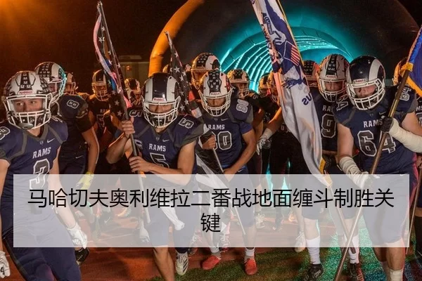 马哈切夫奥利维拉二番战地面缠斗制胜关键
