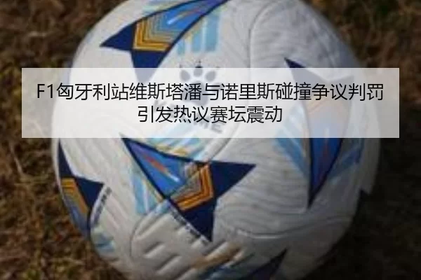 F1匈牙利站维斯塔潘与诺里斯碰撞争议判罚引发热议赛坛震动